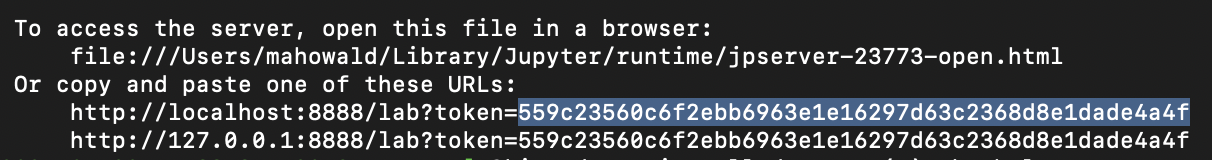 Terminal output showing JupyterLab startup with the URL and token highlighted